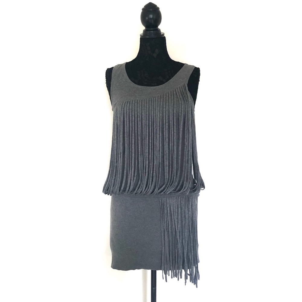 Gray Sleeveless Fringed Dress - Picture 1 of 5